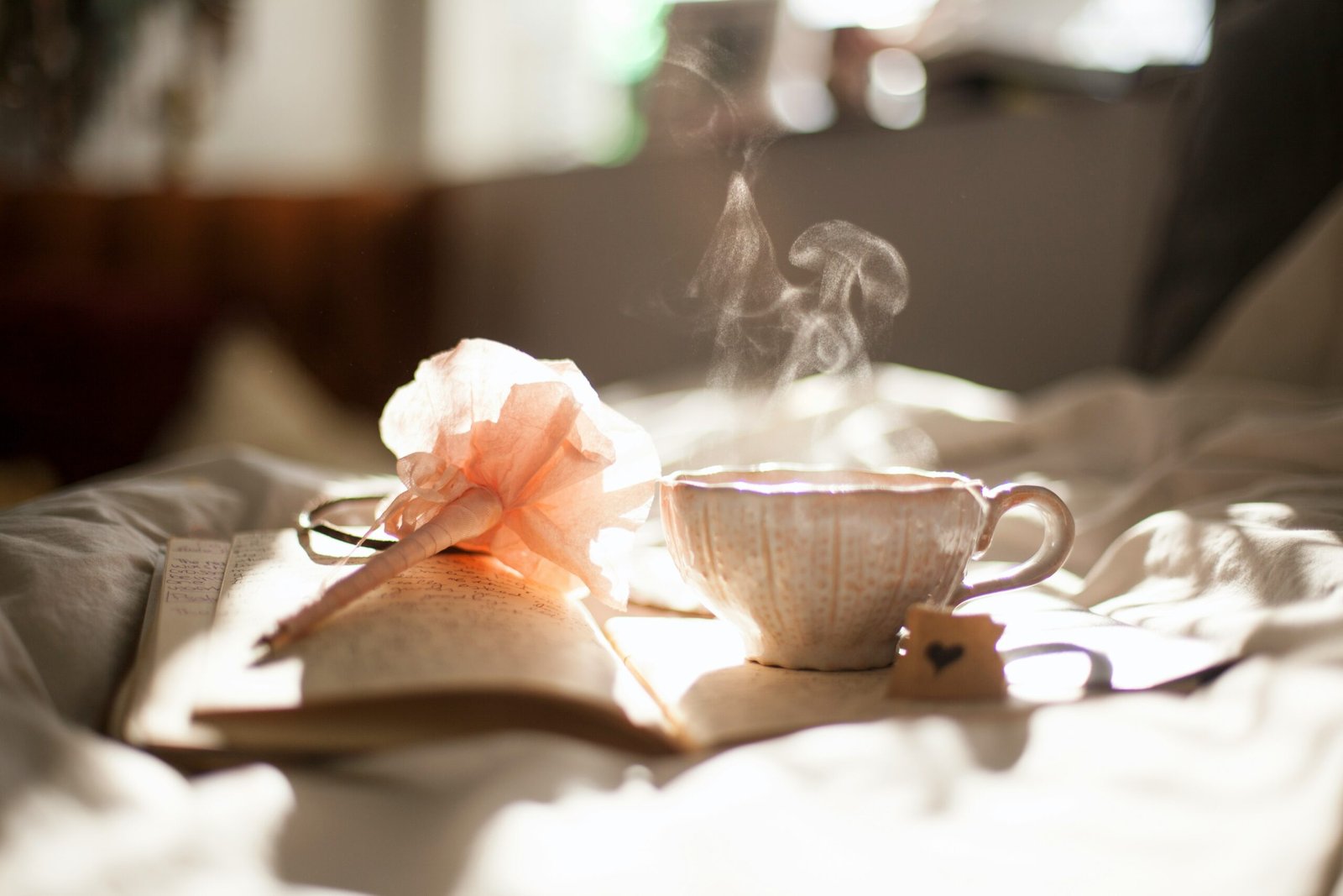 carli-jeen-15YDf39RIVc-unsplash carli-jeen-15YDf39RIVc-unsplash